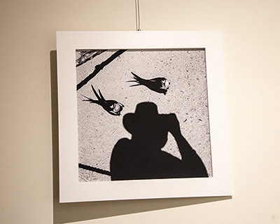 Exposição Sun-Nus Miscelânea